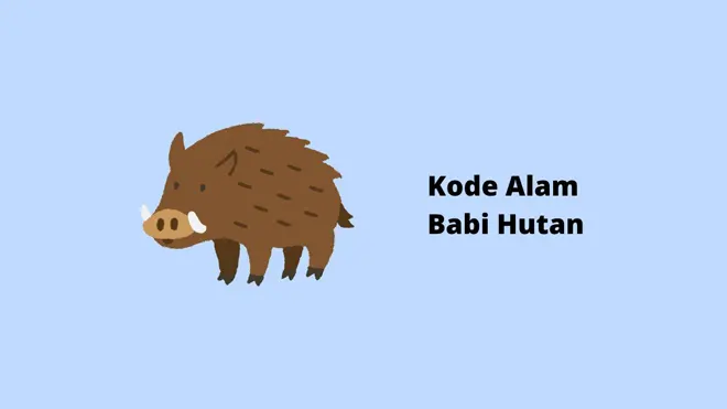 Kode Alam Babi Hutan