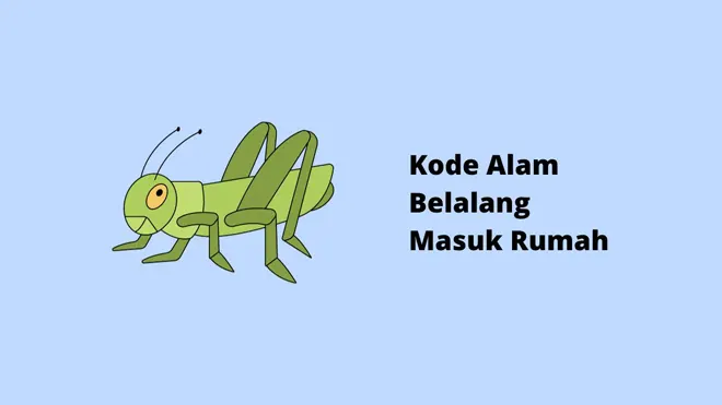 Kode Alam Belalang Masuk Rumah