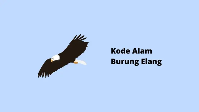 Kode Alam Burung Elang