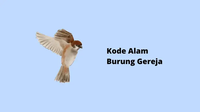 Kode Alam Burung Gereja