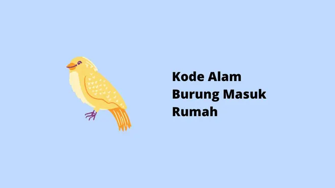 Kode Alam Burung Masuk Rumah