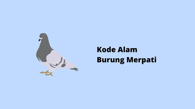 Kode Alam Burung Merpati