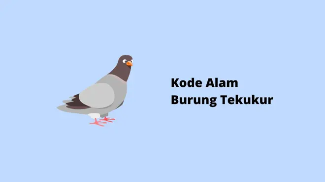 Kode Alam Burung Tekukur