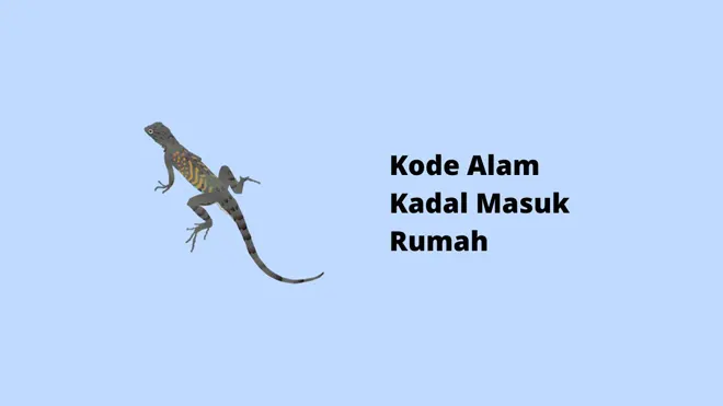 Kode Alam Kadal Masuk Rumah