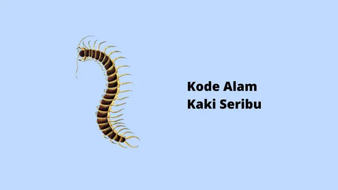 Kode Alam Kaki Seribu