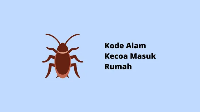 Kode Alam Kecoa Masuk Rumah