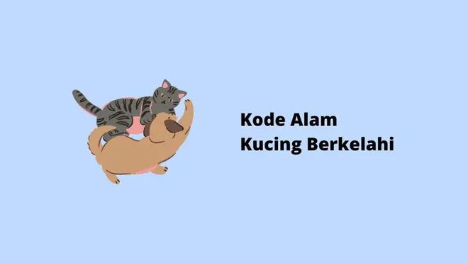 Kode Alam Kucing Berkelahi