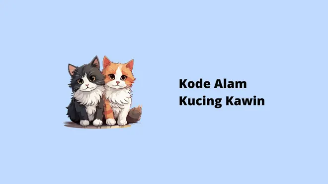 Kode Alam Kucing Kawin
