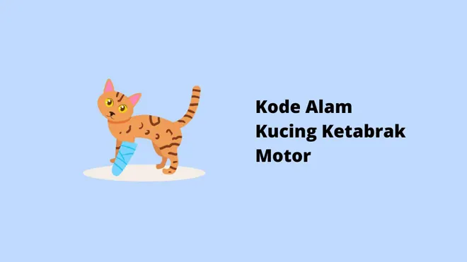 Kode Alam Kucing Ketabrak Motor