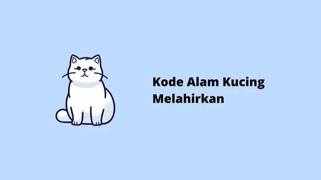 Kode Alam Kucing Melahirkan