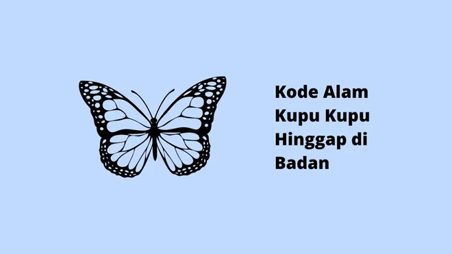 Kode Alam Kupu Kupu Hinggap di Badan