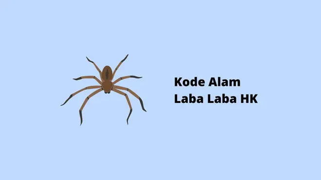 Kode Alam Laba Laba HK