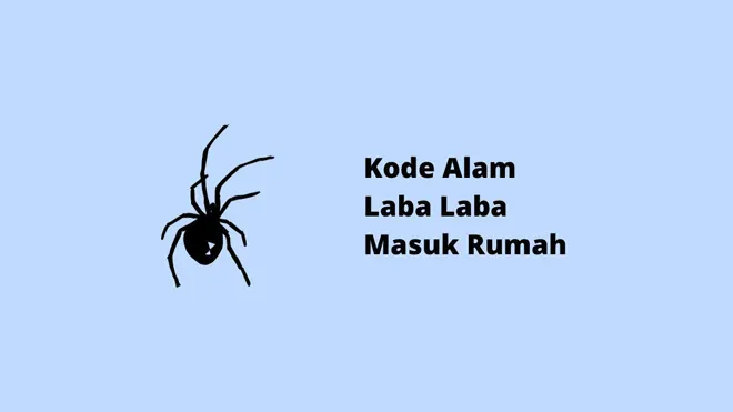 Kode Alam Laba Laba Masuk Rumah