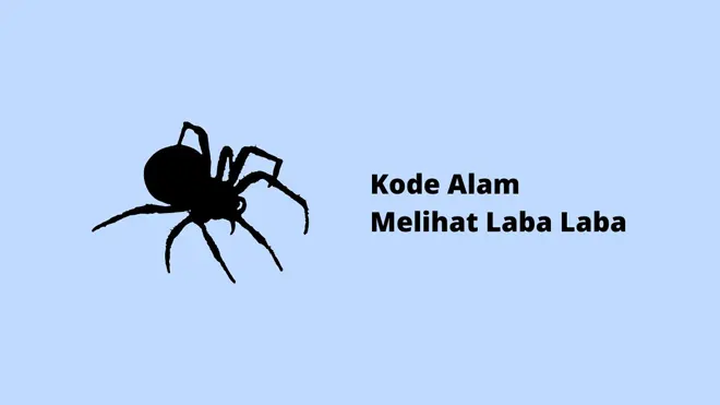 Kode Alam Melihat Laba Laba