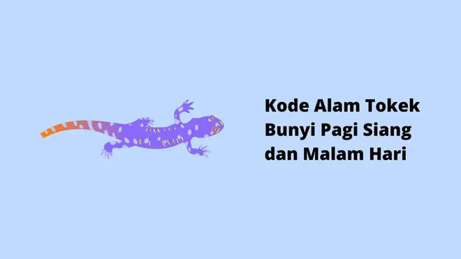 Kode Alam Tokek Bunyi Pagi Siang dan Malam Hari